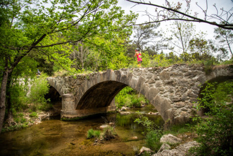 photo marathon var provence verte édition 2019
