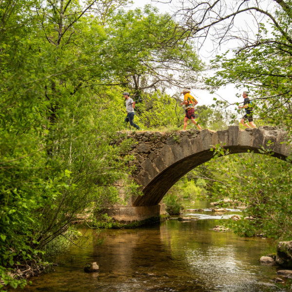 photo marathon var provence verte édition 2019