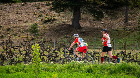 photo marathon var provence verte édition 2019