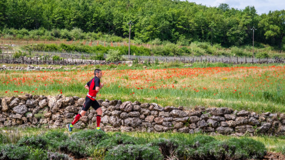 photo marathon var provence verte édition 2019