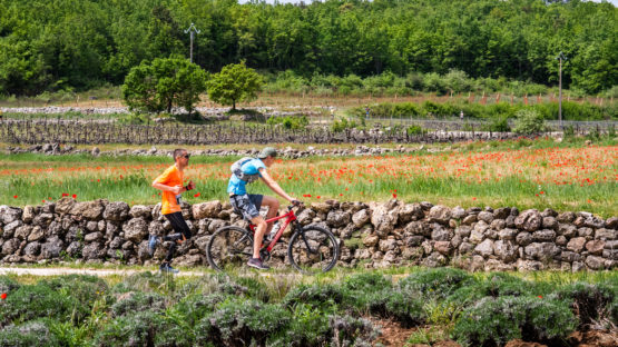 photo marathon var provence verte édition 2019