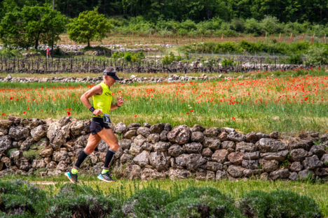 photo marathon var provence verte édition 2019