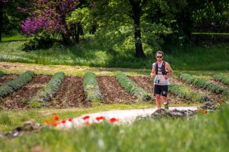 photo marathon var provence verte édition 2019