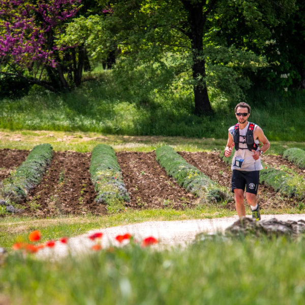 photo marathon var provence verte édition 2019