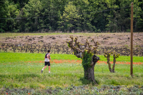 photo marathon var provence verte édition 2019