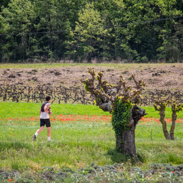 photo marathon var provence verte édition 2019