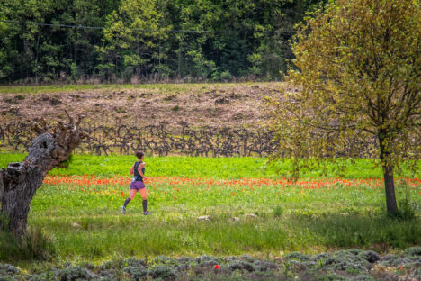 photo marathon var provence verte édition 2019