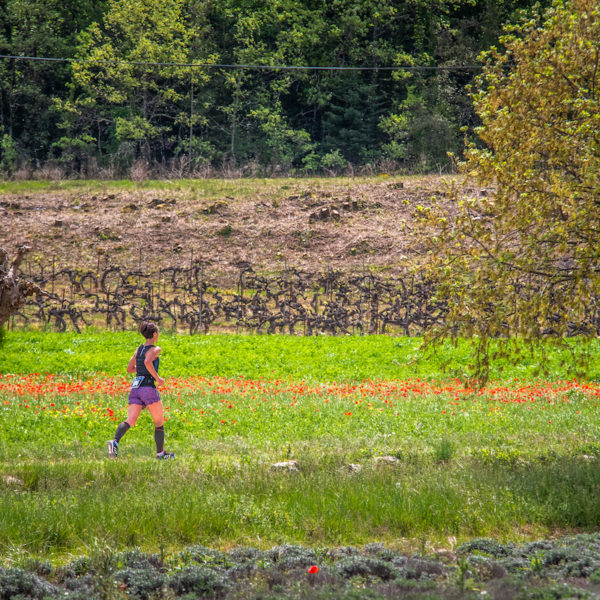 photo marathon var provence verte édition 2019