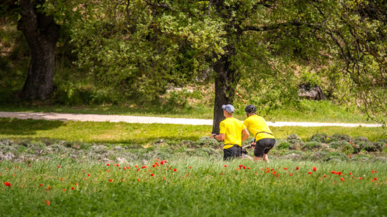 photo marathon var provence verte édition 2019
