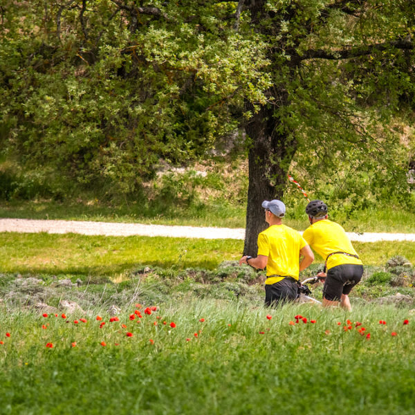 photo marathon var provence verte édition 2019