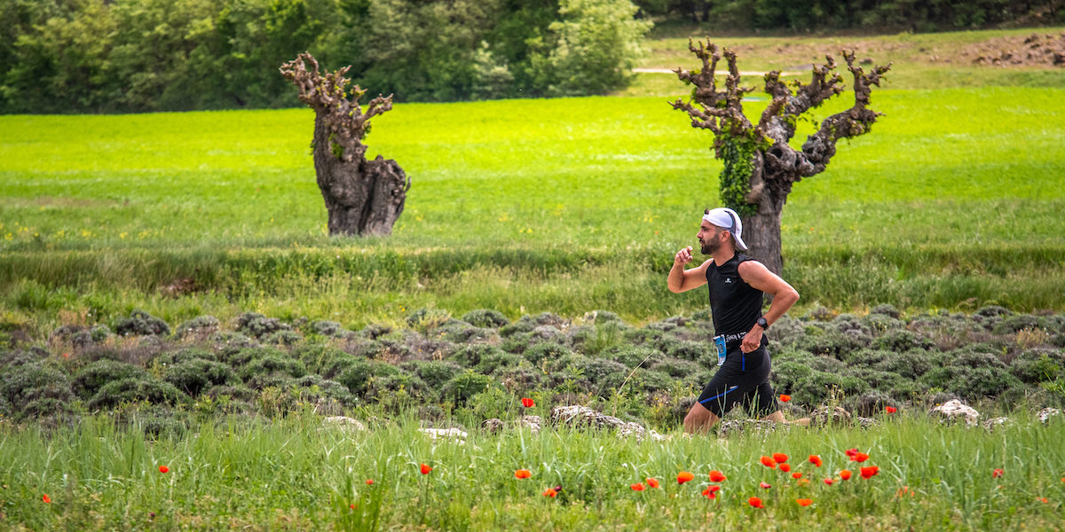 photo marathon var provence verte édition 2019