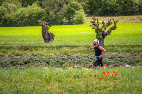 photo marathon var provence verte édition 2019