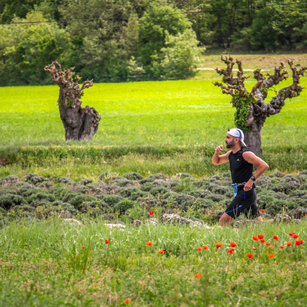 photo marathon var provence verte édition 2019