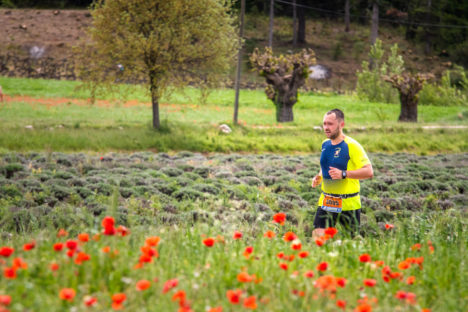 photo marathon var provence verte édition 2019
