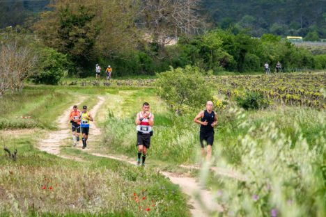 photo marathon var provence verte édition 2019