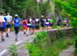 marathon var provence verte