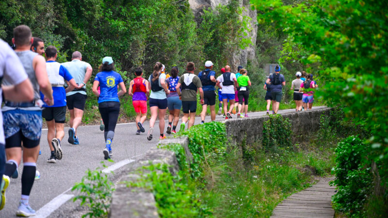 marathon var provence verte